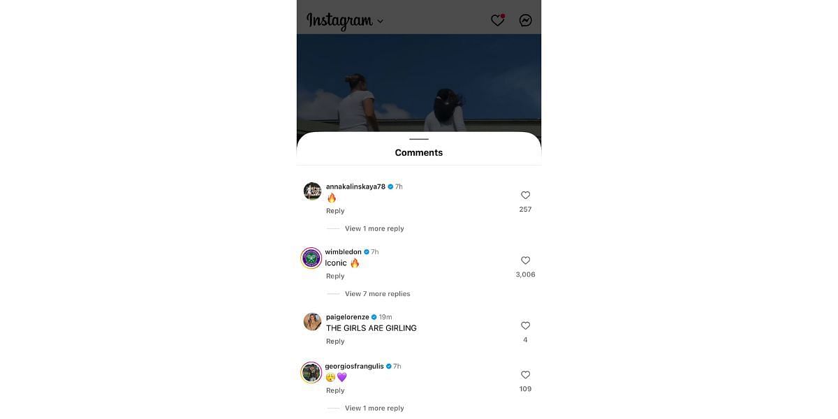 Comments on Aryna Sabalenka and Coco Gauff's Instagram post